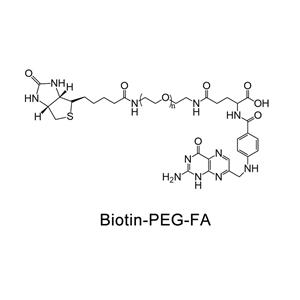 叶酸-聚乙二醇-生物素；Biotin-PEG-FA