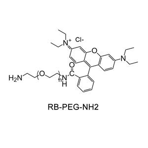罗丹明-聚乙二醇-氨基；RB-PEG-NH2