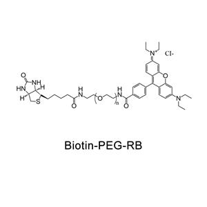 生物素-聚乙二醇-罗丹明；RB-PEG-Biotin