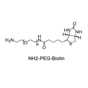 生物素-聚乙二醇-氨基；Biotin-PEG-Amine；Biotin-PEG-NH2