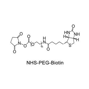 生物素-聚乙二醇-活性酯；Biotin-PEG-NHS