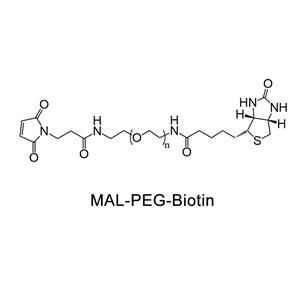 生物素-聚乙二醇-马来酰亚胺；Biotin-PEG-MAL