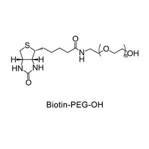 生物素-聚乙二醇-羟基；Biotin-PEG-OH
