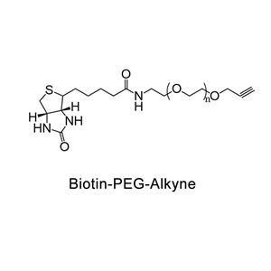 炔基-聚乙二醇-生物素；Biotin-PEG-Alkyne