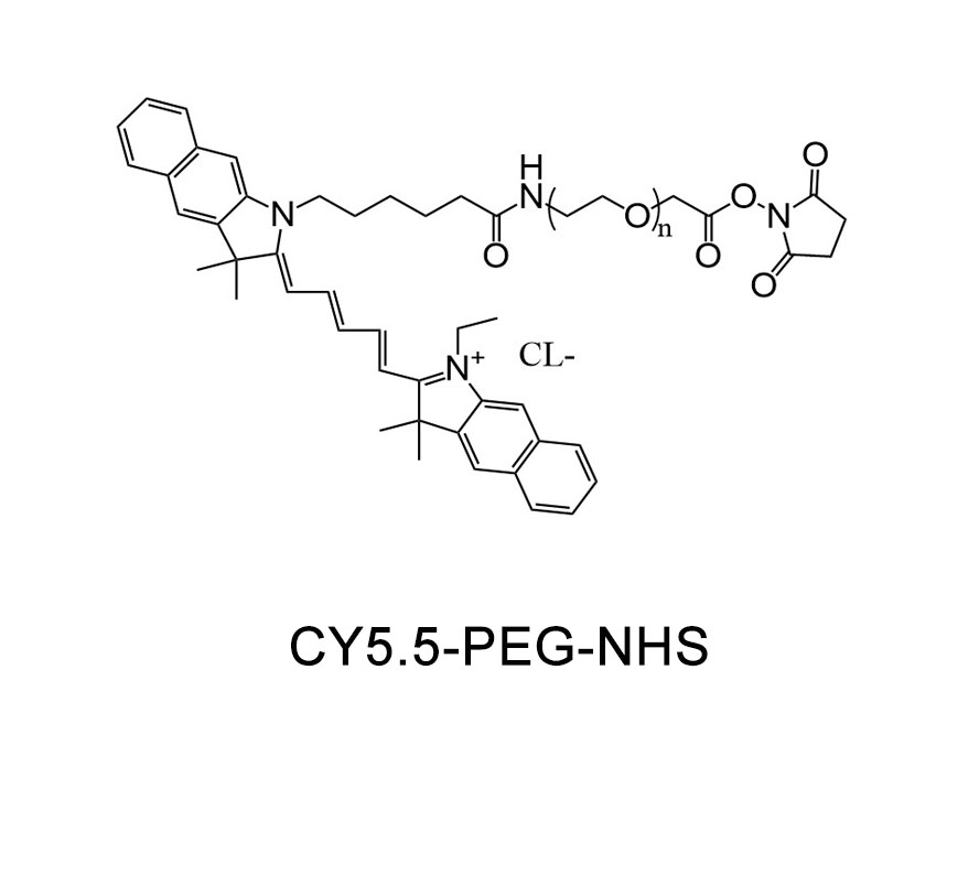 CY5.5-聚乙二醇-活性酯,CY5.5-PEG-NHS