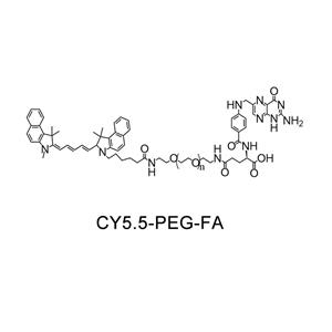 CY5.5-聚乙二醇-叶酸；Cy5.5-PEG-FA