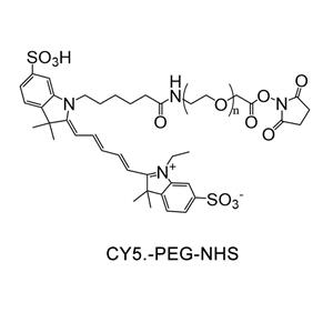 CY5-聚乙二醇-活性酯；CY5-PEG-NHS