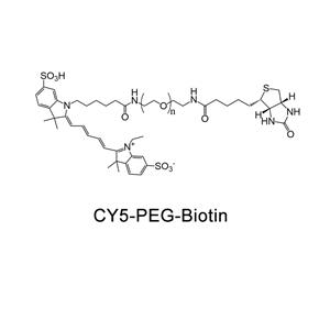 CY5-聚乙二醇-生物素；Cy5-PEG-Biotin