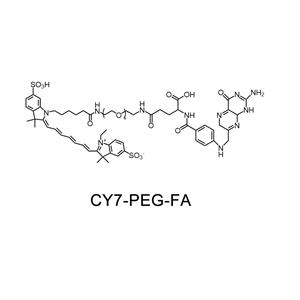 CY7-聚乙二醇-叶酸；CY7-PEG-FA