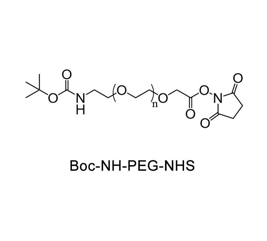 叔丁氧羰基-氨基-聚乙二醇-活性酯,Boc-NH-PEG-NHS