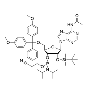 Ac-rA 亚磷酰胺单体
