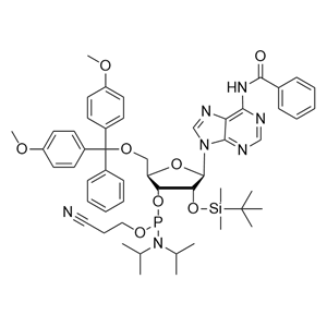 Bz-rA亚磷酰胺单体 104992-55-4