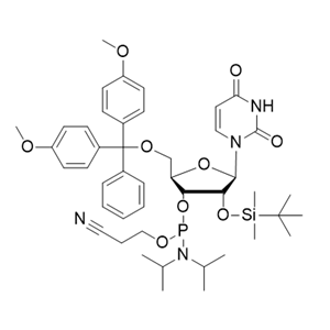 rU 亚磷酰胺单体