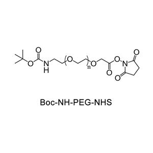 叔丁氧羰基-氨基-聚乙二醇-活性酯；BOC-NH-PEG-NHS
