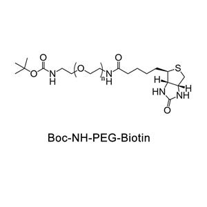 叔丁氧羰基-氨基-聚乙二醇-生物素；Boc-NH-PEG-Biotin