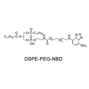 二硬脂酰基磷脂酰乙醇胺-聚乙二醇-苯恶二唑；DSPE-PEG-NBD