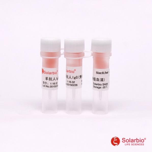 羊抗小鼠IgG（免疫血清）,Goat anti-Mouse IgG (Immune serum)