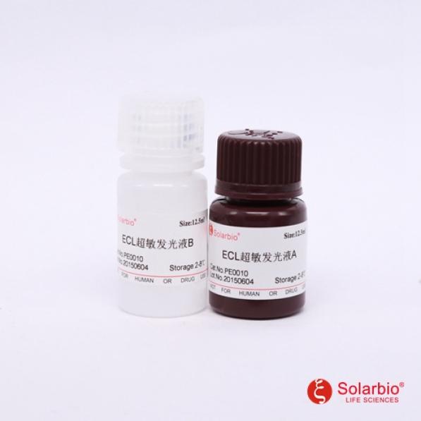 ECL Plus超敏发光液,ECL Western Blotting Substrate