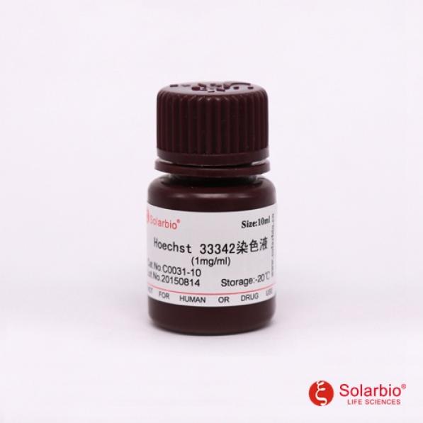 Hoechst 33342染色液（1mg/mL）,Hoechst 33342 Stain solution(1mg/ml)