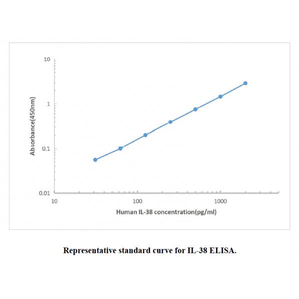 Human IL-38 ELISA KIT,Human IL-38 ELISA KIT