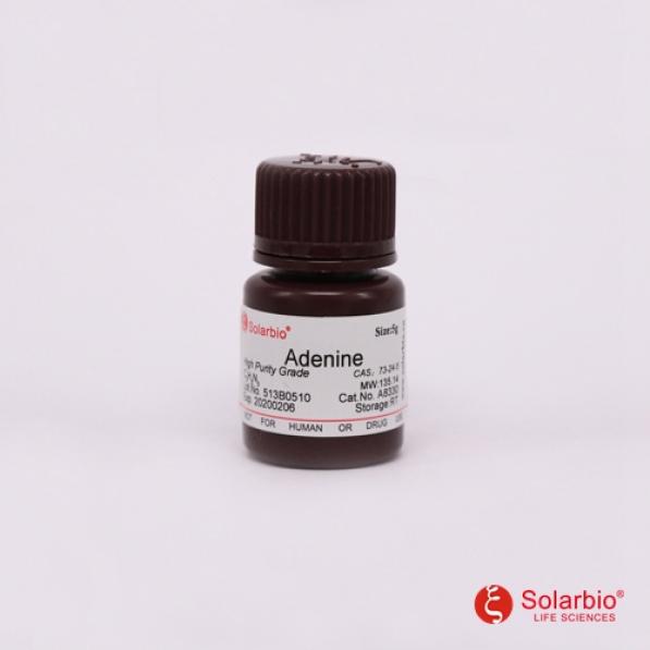 腺嘌呤,Adenine
