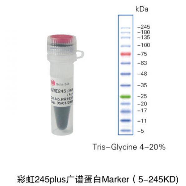 彩虹245plus广谱蛋白Marker（5-245KD),ColorMixed Protein Marker(5-245KD)