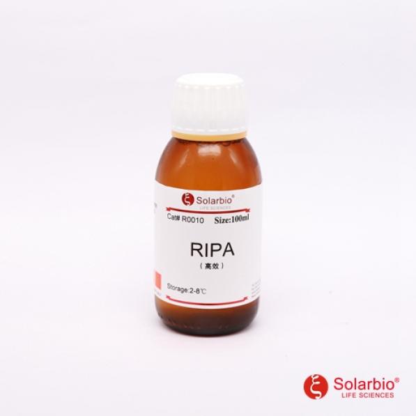 高效RIPA裂解液(组织/细胞),RIPA buffer(high)