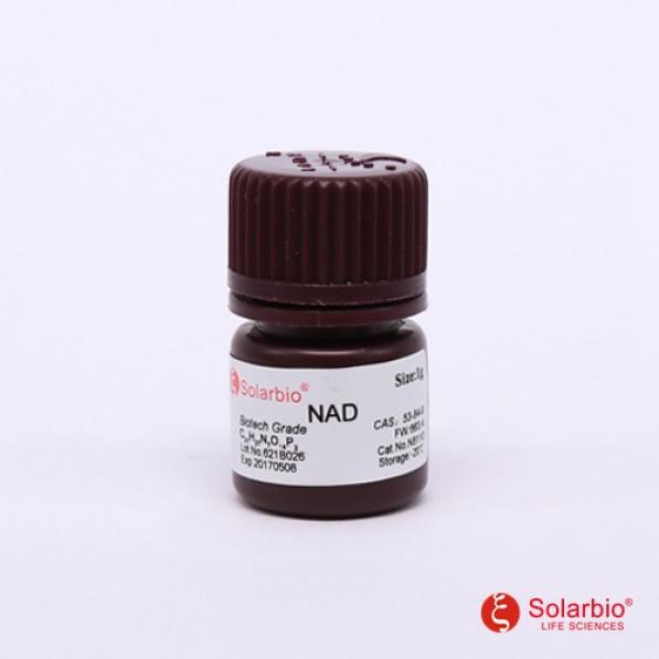 氧化型辅酶Ⅰ，NAD,NAD