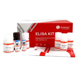 Mouse BMP-2 ELISA KIT,Mouse BMP-2 ELISA KIT