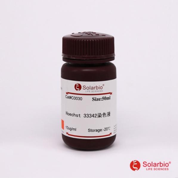 Hoechst 33342 染色液(10ug/ml，即用型),Hoechst 33342 Stain solution(ready-to-use)