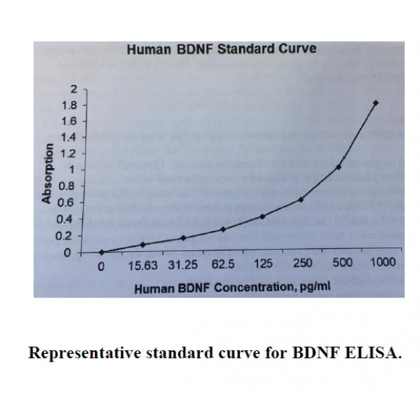 Human BDNF ELISA KIT,Human BDNF ELISA KIT