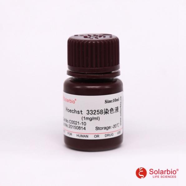 Hoechst 33258染色液（1mg/mL）,Hoechst 33258 Stain solution(1mg/ml)