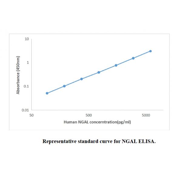 Human NGAL ELISA KIT,Human NGAL ELISA KIT