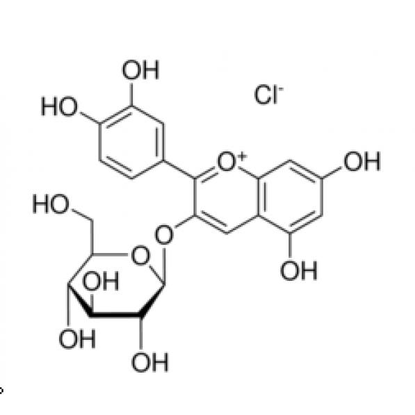 矢车菊素-3-O-葡萄糖苷 标准品,Cyanidin-3-O-glucoside chloride