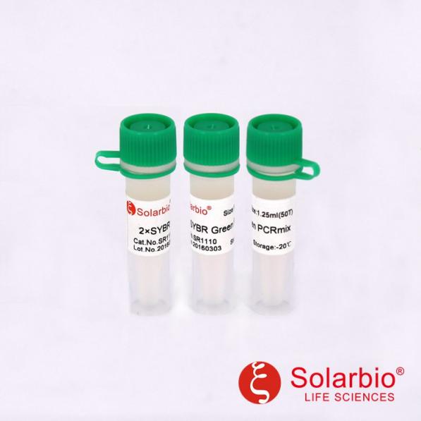2×SYBR Green PCR Mastermix,2×SYBR Green PCR Mastermix