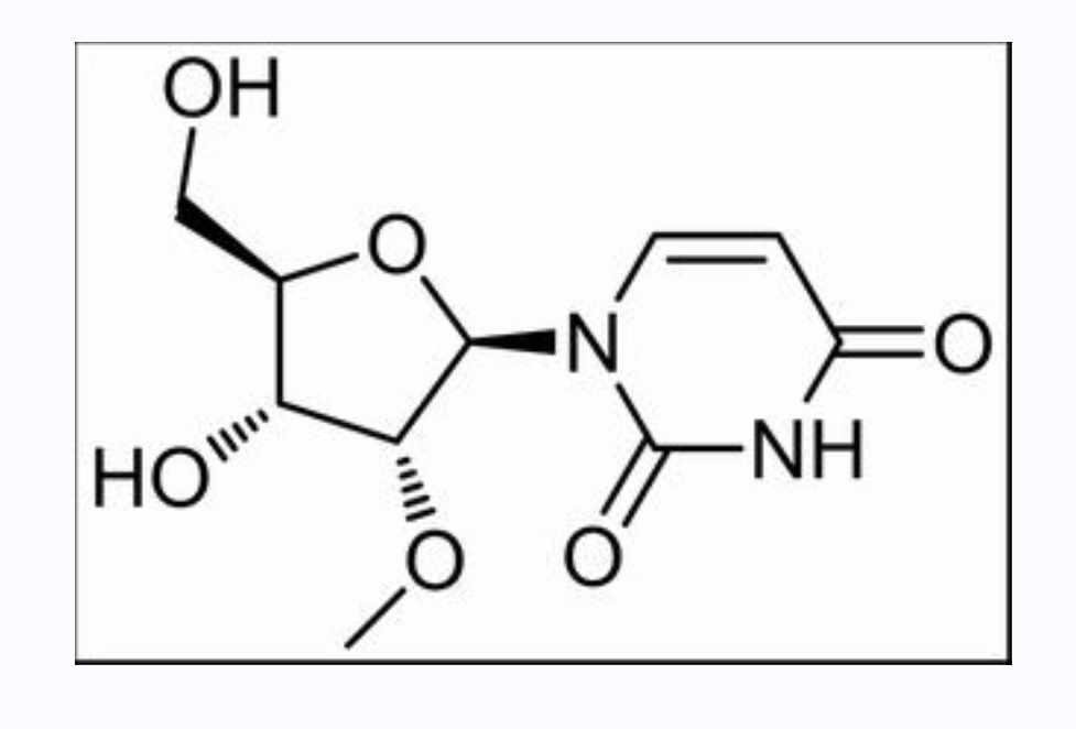 2'-甲氧基尿苷,2'-O-methyluridine