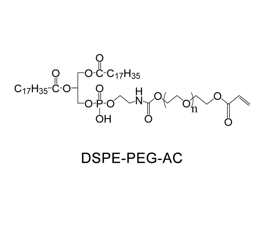 二硬脂酰基磷脂酰乙醇胺-聚乙二醇-丙烯酸,DSPE-PEG-AC