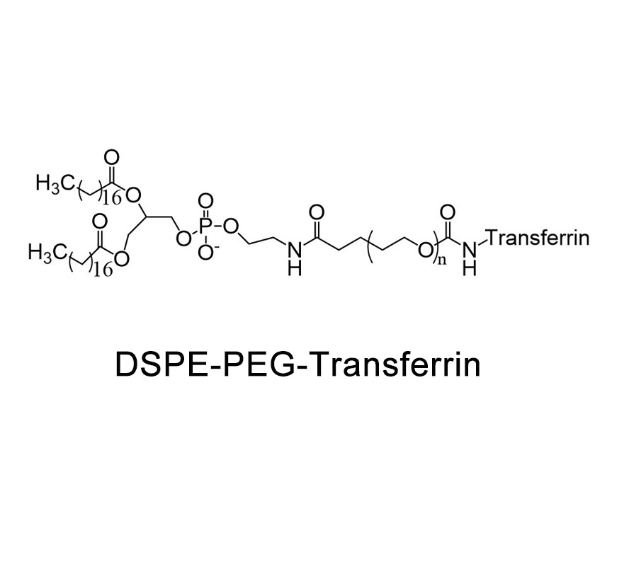 二硬脂酰基磷脂酰乙醇胺-聚乙二醇-转铁蛋白,DSPE-PEG-Transferrin