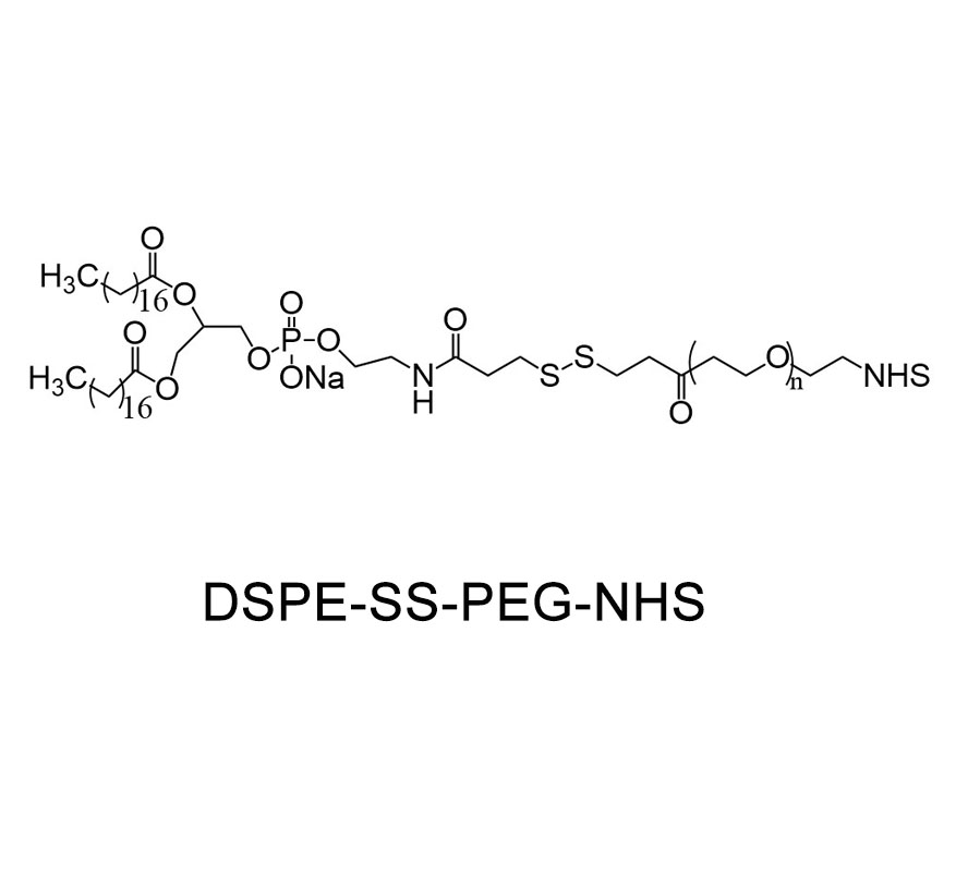 二硬脂酰基磷脂酰乙醇胺-双硫键-聚乙二醇-活性酯,DSPE-SS-PEG-NHS
