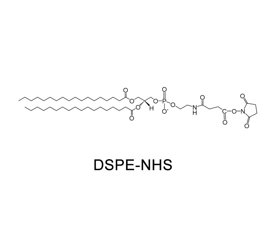 磷脂改性活性酯/琥珀酰亚胺,DSPE-NHS