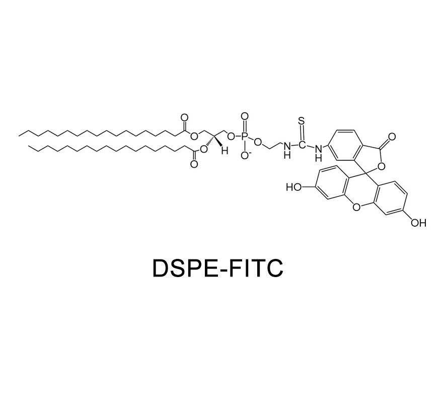 磷脂改性荧光素,DSPE-FITC