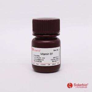 维生素B1（硫胺素）,67-03-8