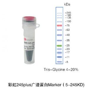 彩虹245plus广谱蛋白Marker（5-245KD)