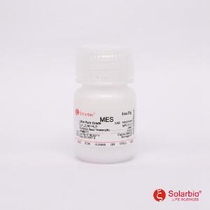 2-(N-吗啡啉)乙磺酸 MES,145224-94-8