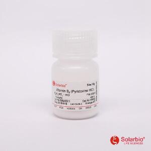 维生素B6（吡哆素）,58-56-0