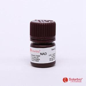 氧化型辅酶Ⅰ，NAD,53-84-9
