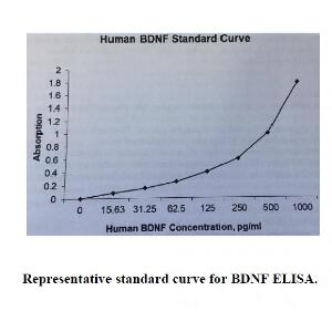 Human BDNF ELISA KIT