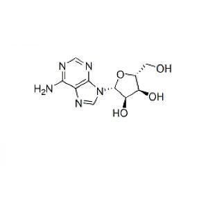 Adenosine 腺苷 标准品,58-61-7