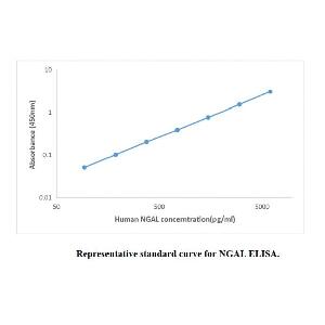 Human NGAL ELISA KIT