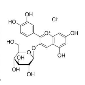 矢车菊素-3-O-葡萄糖苷 标准品,7084-24-4